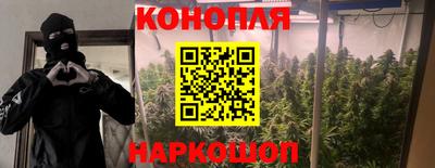 СК Рязань